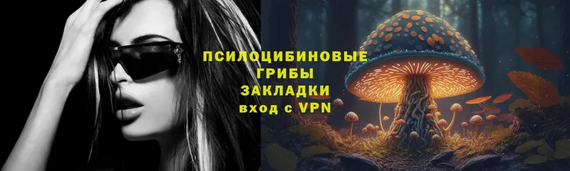 Галлюциногенные грибы MAGIC MUSHROOMS  Соликамск 